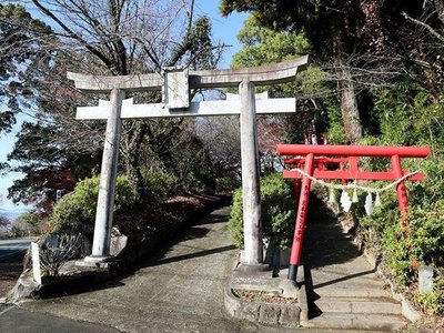 ⛩️ 기쿠치 신사 이미지 2